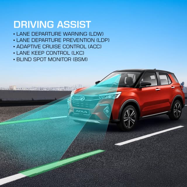Driving Assist