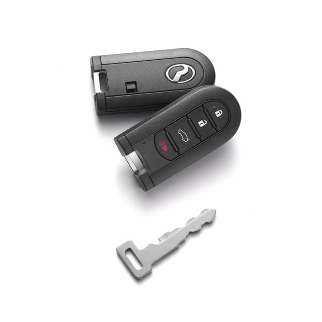 Smart Entry with Smart Key